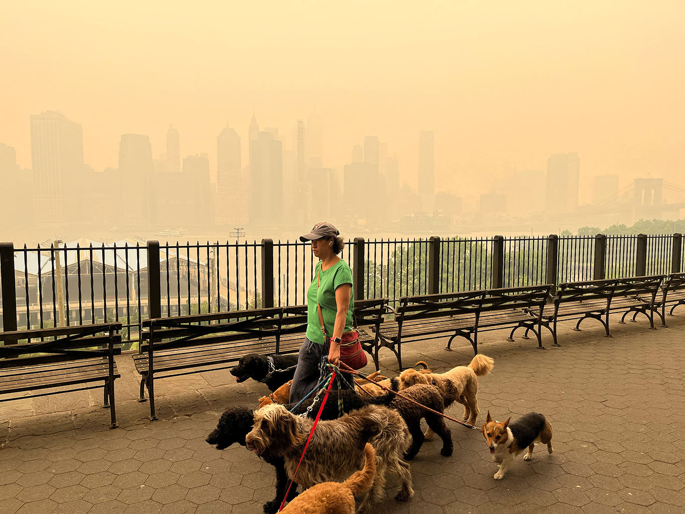A person walks dogs along the Brooklyn promenade as the Manhattan skyline is shrouded in haze